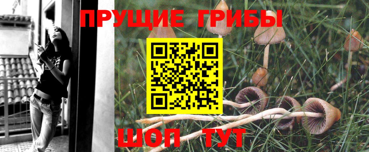 Галлюциногенные грибы Cubensis  Вход с VPN  Севастополь 