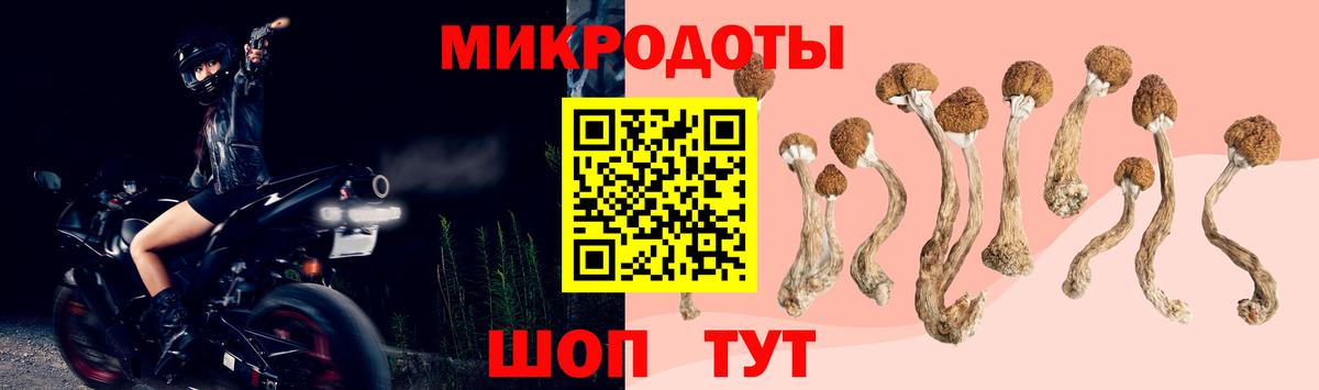 Галлюциногенные грибы прущие грибы Севастополь